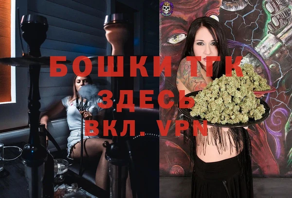 молекула духа Медвежьегорск