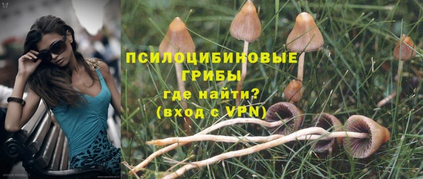 кристаллы Дмитриев