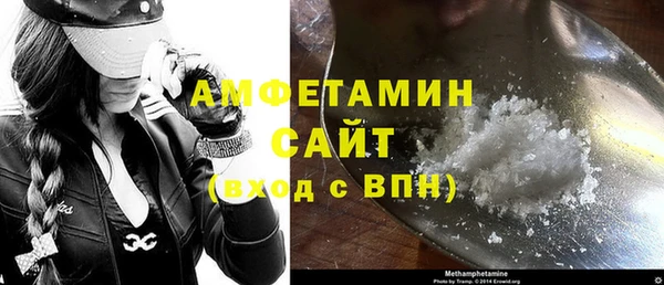 гидра Калининец