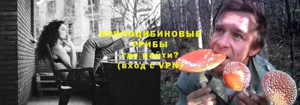 кристаллы Дмитриев