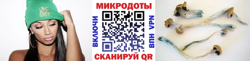 Галлюциногенные грибы GOLDEN TEACHER  сайты даркнета как зайти  Добрянка  наркошоп  ОМГ ОМГ как войти 